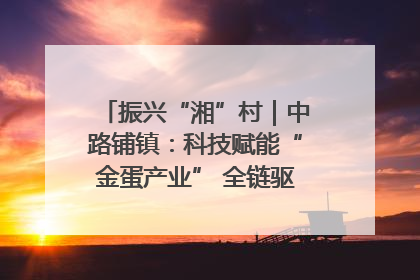 振兴“湘”村｜中路铺镇：科技赋能“金蛋产业” 全链驱动乡村振兴