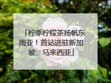 柠季柠檬茶扬帆东南亚！首站进驻新加坡、马来西亚