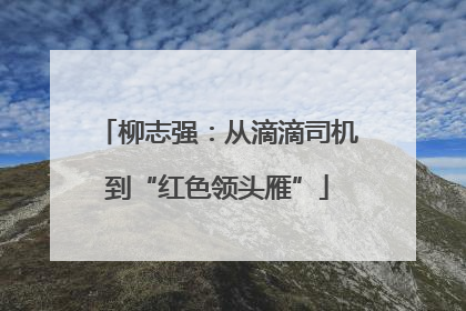 柳志强：从滴滴司机到“红色领头雁”