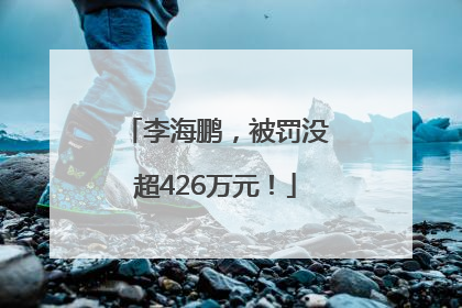 李海鹏，被罚没超426万元！