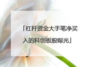 杠杆资金大手笔净买入的科创板股曝光