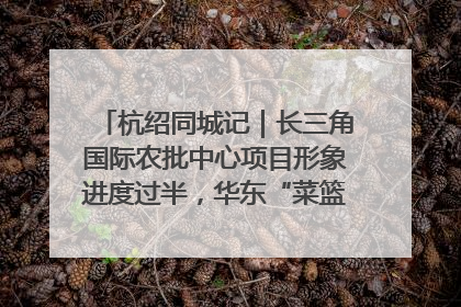 杭绍同城记｜长三角国际农批中心项目形象进度过半，华东“菜篮子”建设加码提速！