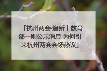 杭州两会·追新丨教育部一则公示消息 为何引来杭州两会会场热议