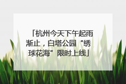 杭州今天下午起雨渐止，白塔公园“绣球花海”限时上线