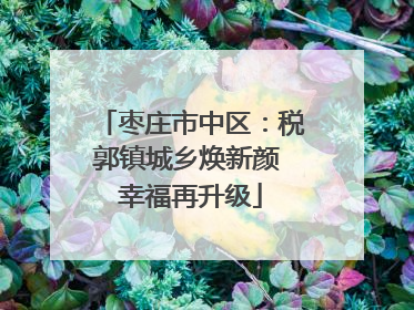 枣庄市中区：税郭镇城乡焕新颜 幸福再升级