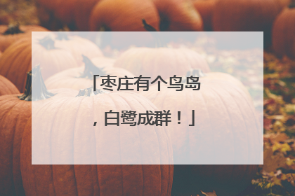 枣庄有个鸟岛，白鹭成群！