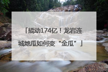 撬动174亿！龙岩连城地瓜如何变“金瓜”