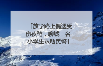 放学路上偶遇受伤夜鹭，聊城三名小学生求助民警