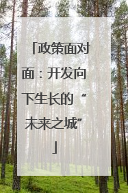政策面对面：开发向下生长的“未来之城”