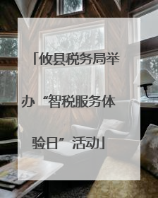 攸县税务局举办“智税服务体验日”活动
