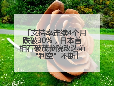 支持率连续4个月跌破30%，日本首相石破茂参院改选前“利空”不断