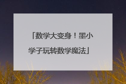 数学大变身！墨小学子玩转数学魔法