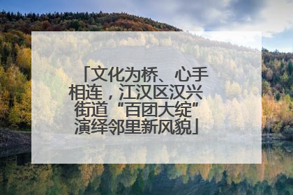 文化为桥、心手相连，江汉区汉兴街道“百团大绽”演绎邻里新风貌