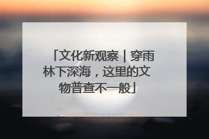 文化新观察｜穿雨林下深海，这里的文物普查不一般