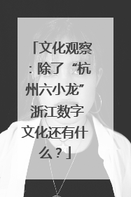 文化观察：除了“杭州六小龙” 浙江数字文化还有什么？
