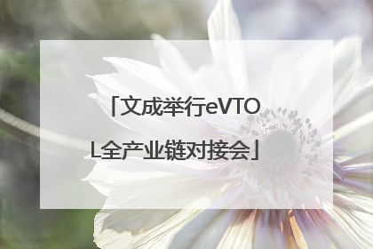 文成举行eVTOL全产业链对接会