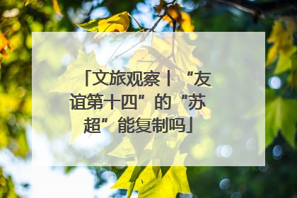 文旅观察丨“友谊第十四”的“苏超”能复制吗