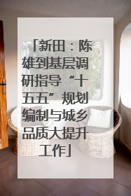 新田：陈雄到基层调研指导“十五五”规划编制与城乡品质大提升工作