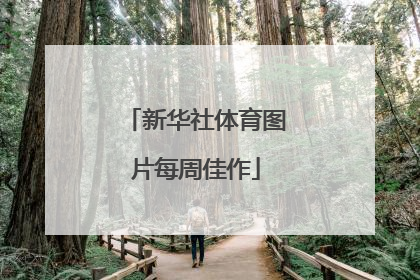 新华社体育图片每周佳作