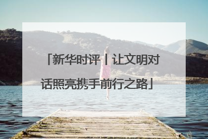新华时评丨让文明对话照亮携手前行之路