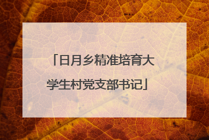 日月乡精准培育大学生村党支部书记