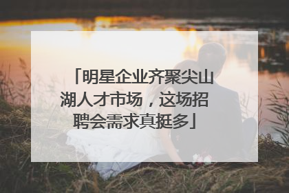 明星企业齐聚尖山湖人才市场，这场招聘会需求真挺多