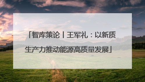 智库策论丨王军礼：以新质生产力推动能源高质量发展