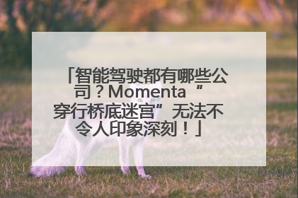 智能驾驶都有哪些公司？Momenta“穿行桥底迷宫”无法不令人印象深刻！