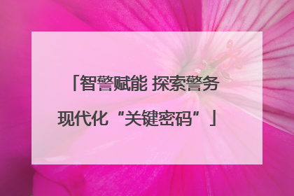 智警赋能 探索警务现代化“关键密码”