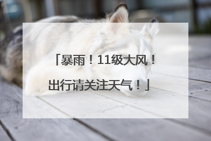 暴雨！11级大风！出行请关注天气！