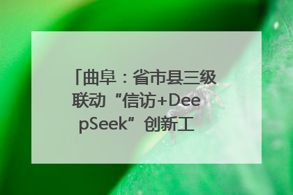曲阜：省市县三级联动“信访+DeepSeek”创新工作新闻发布会举行