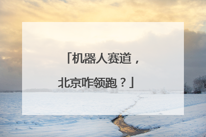 机器人赛道，北京咋领跑？