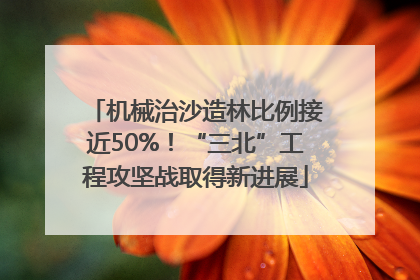 机械治沙造林比例接近50%！“三北”工程攻坚战取得新进展
