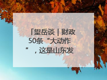 望岳谈｜财政50条“大动作”，这是山东发展民企的决心