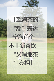 望海茶的“潮”表达 宁海首个本土新茶饮“又喝那茶”亮相