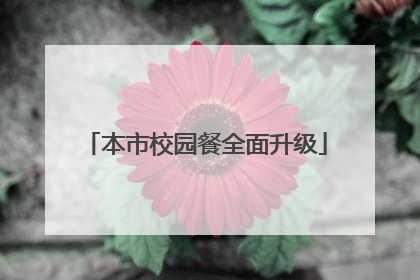 本市校园餐全面升级