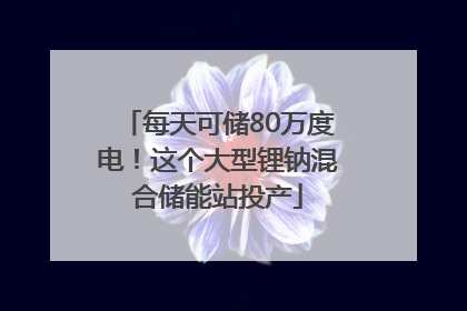 每天可储80万度电！这个大型锂钠混合储能站投产