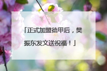 正式加盟德甲后，樊振东发文送祝福！