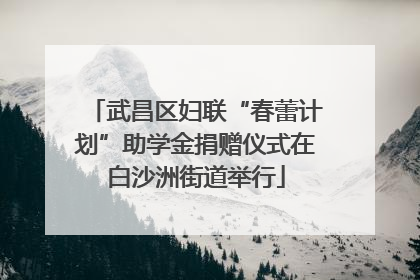武昌区妇联“春蕾计划”助学金捐赠仪式在白沙洲街道举行
