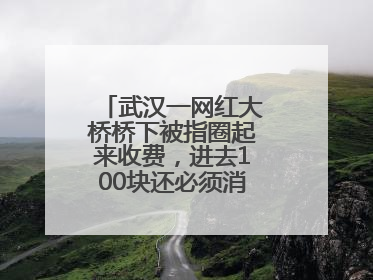武汉一网红大桥桥下被指圈起来收费，进去100块还必须消费？当地回应