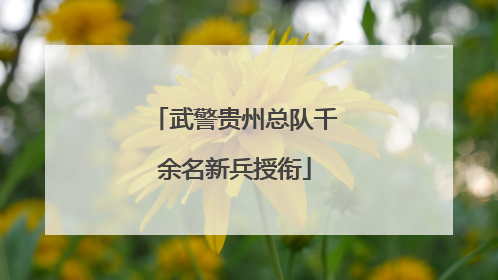 武警贵州总队千余名新兵授衔