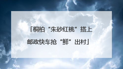 桐柏“朱砂红桃”搭上邮政快车抢“鲜”出村