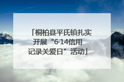 桐柏县平氏镇扎实开展“6·14信用记录关爱日”活动