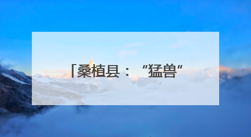 桑植县：“猛兽”当前 他们在行动