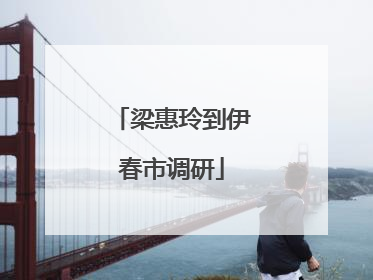 梁惠玲到伊春市调研