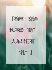 榆林：交通秩序焕“新” 人车出行有“礼”