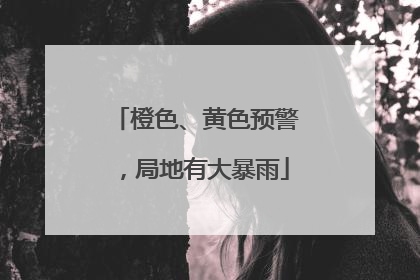 橙色、黄色预警，局地有大暴雨