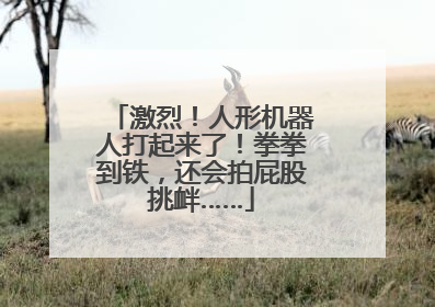 激烈！人形机器人打起来了！拳拳到铁，还会拍屁股挑衅……