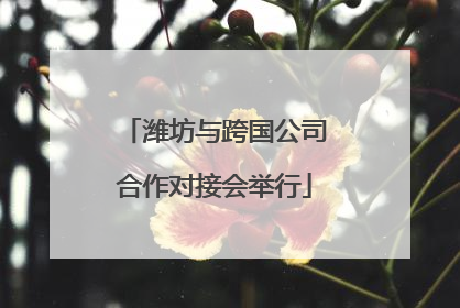 潍坊与跨国公司合作对接会举行