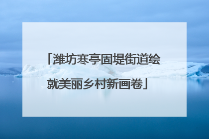 潍坊寒亭固堤街道绘就美丽乡村新画卷